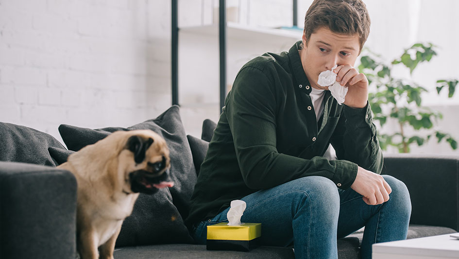 Installing an air purifier is one of the smartest methods to enhance your residence’s indoor air quality. Find out more about the three smartest options. 